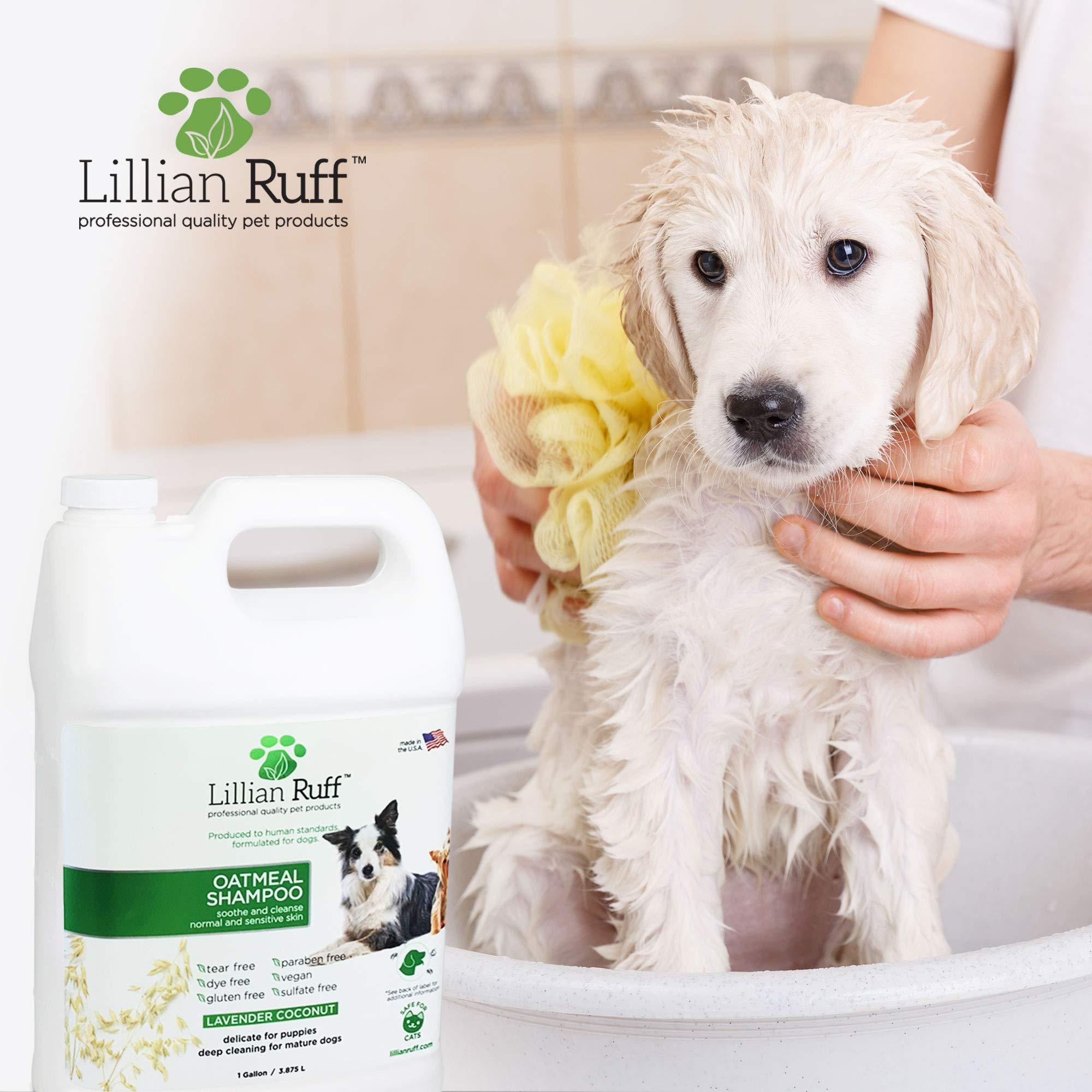 Ultra Concentrated Shampoo (16oz With Brush) - Lillian Ruff