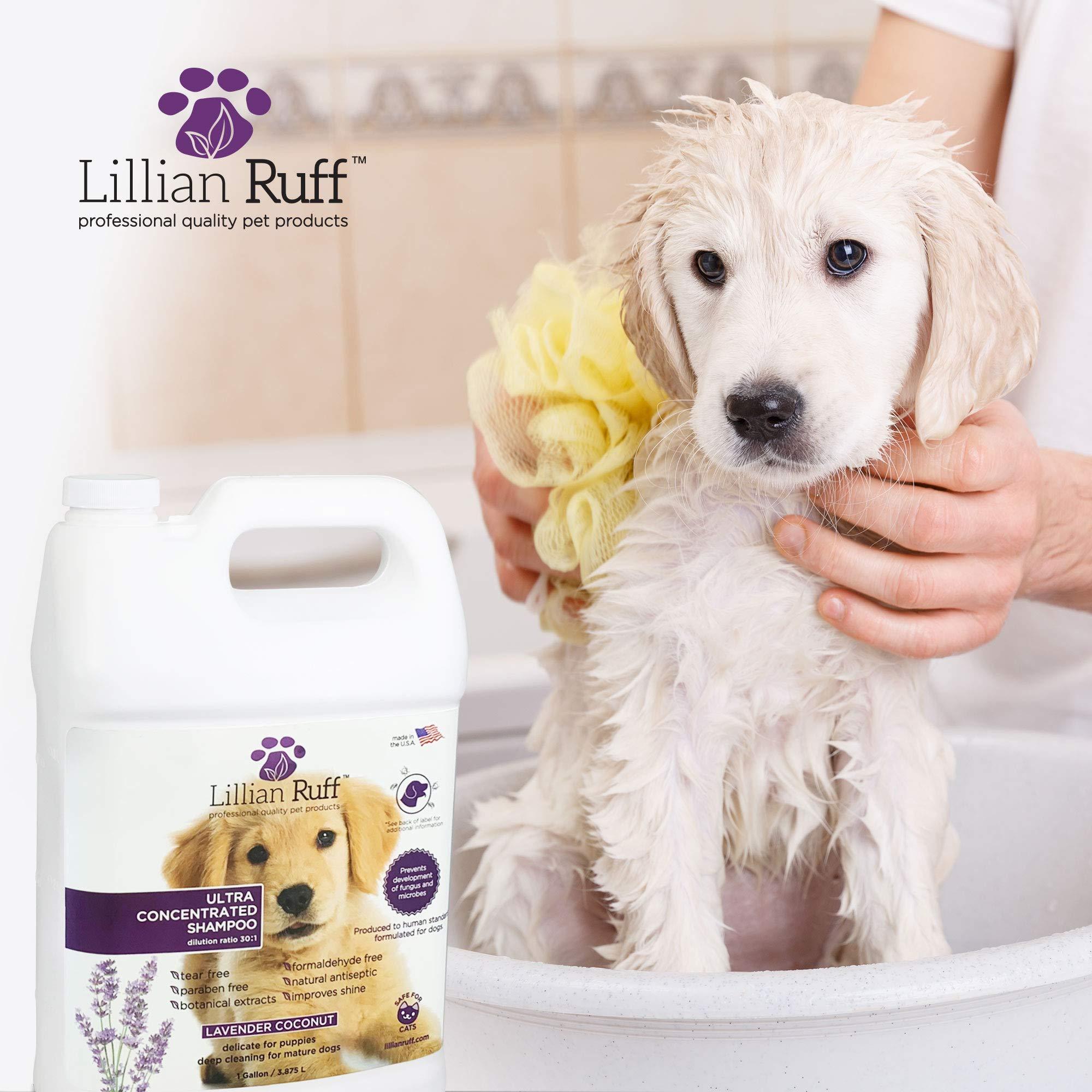 Ultra Concentrated Shampoo - Lillian Ruff-LR-ULTRACONCENTRATE1GALLON-FBA
