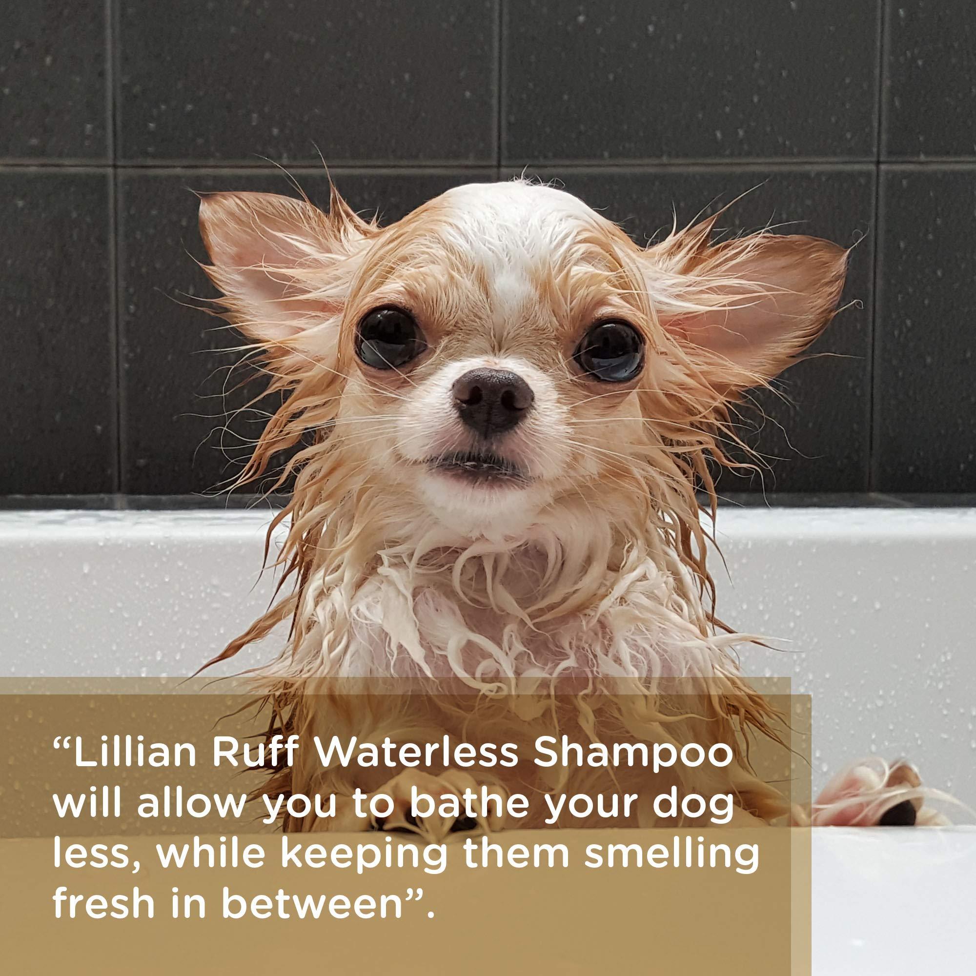 Waterless Shampoo - Vanilla - Lillian Ruff-LR-WATERLESS16-VANILLA
